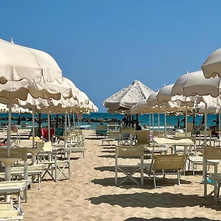 House In The Area Apartment